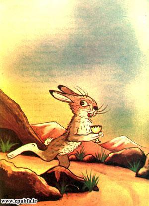 قصه کودکانه «زنبور بیباک» - ارشیو قصه و داستان ایپابفا